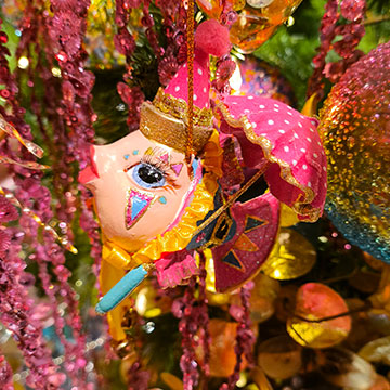 Fancy Fishes Paradise