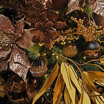 Festive Black