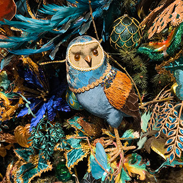Proud Peacock